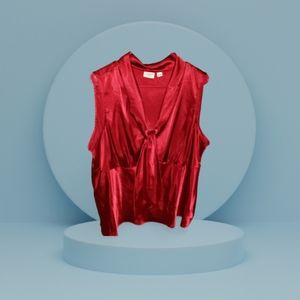 Cato plus size blouse